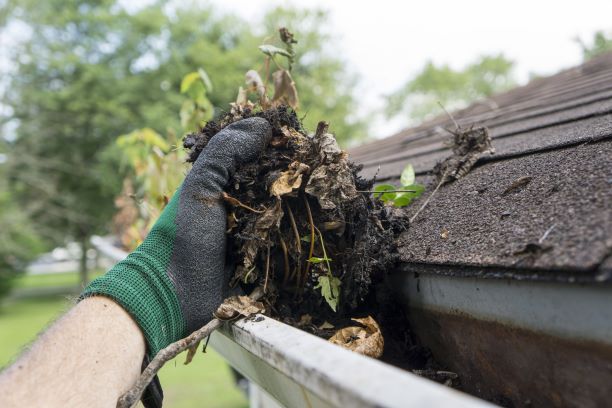 Arrivée du printemps : c’est le moment de vérifier l’état de votre propriété